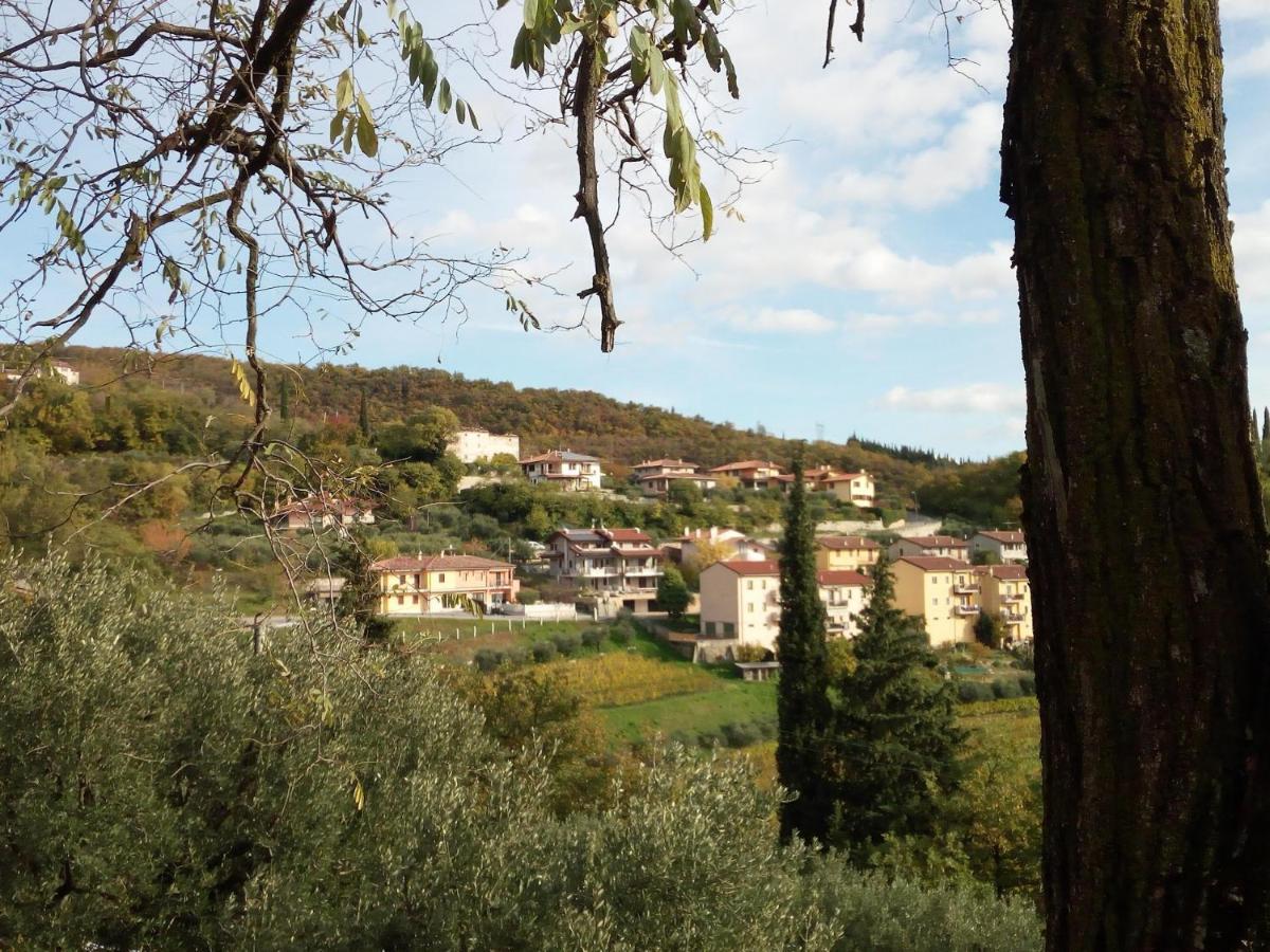 Panoramico10 Apartment With A View In Valpolicella Сант-Амброджо-ди-Вальполичелла Экстерьер фото